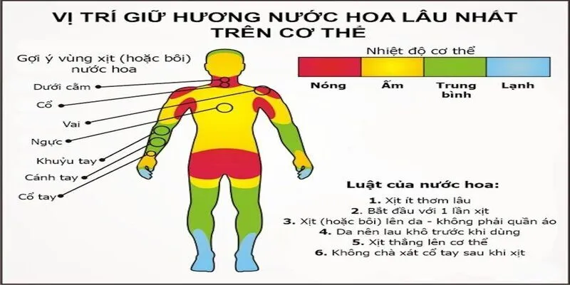 Cách sử dụng nước hoa để bạn thơm lâu cả ngày